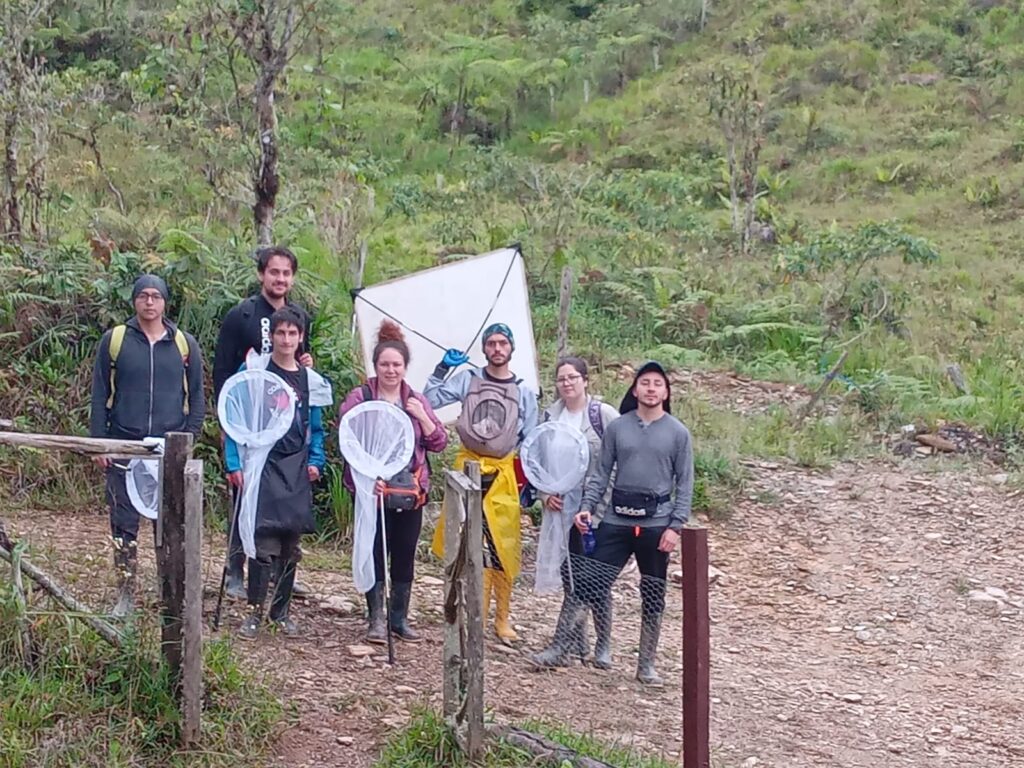 Current image: Entomolgy in the Field