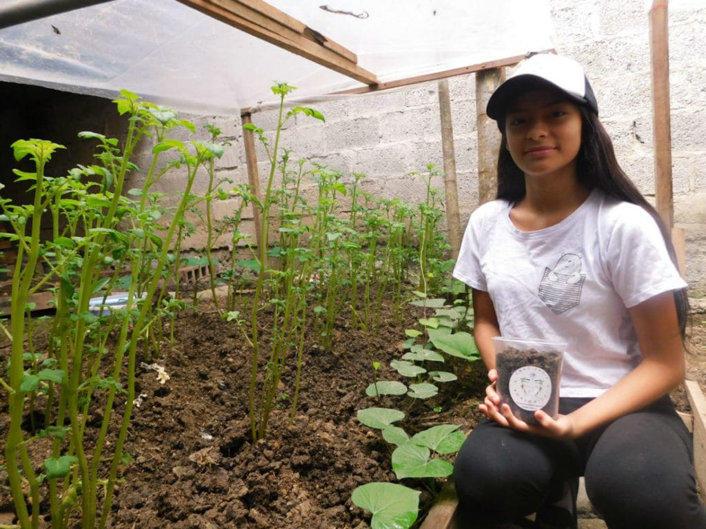 Ecological Production